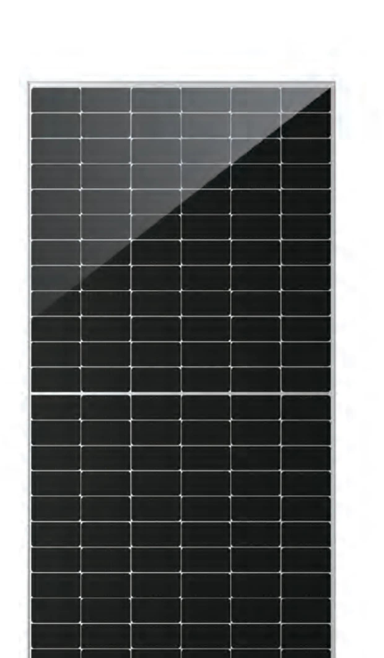 DHM72D30-TP bifacial N-type module, front view